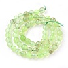 Natural Prehnite Beads Strands X-G-I250-01C-2