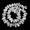 Natural White Moonstone Beads Strands G-L657-E02-01-3