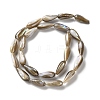 Natural Freshwater Shell Beads Strands SSHEL-B002-12-2