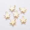 304 Stainless Steel Charms STAS-L234-069G-1