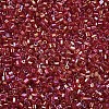 Glass Bugle Beads SEED-S032-10A-165B-3