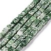 Natural Green Spot Jasper Beads Strands G-F631-K18-1