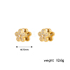304 Stainless Steel Hoop Earrings LR0799-4-2