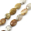 Natural Crazy Lace Agate Beads Strands G-WH0026-20-1