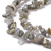 Natural Labradorite Chip Beads Strands G-G905-03-4