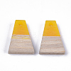 Resin & Wood Pendants LS-RESI-S358-52C-2