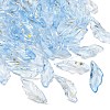 Glass Pendants GLAA-C040-01B-1
