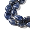 Natural Sodalite Beads Strands G-K357-A01-01-4