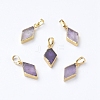 Natural Amethyst Pendants G-E564-05A-G-2