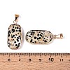 Natural Dalmatian Jasper Pendants G-N349-03D-G-3