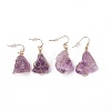 Natural Amethyst Dangle Earrings EJEW-F228-A05-1