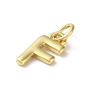 Rack Plating Brass Charms KK-P245-06G-F-2