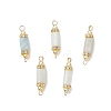 Natural Aquamarine with Electroplate Synthetic Non-magnetic Hematite Faceted Column Connector Charms PALLOY-JF04855-1