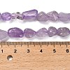 Natural Amethyst(Dyed & Heated) Beads Strands G-P497-01E-21-5