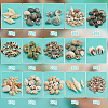   300G 15 Styles Natural Mixed Shell Beads SSHEL-PH0001-24-4