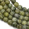 Natural Taiwan Jade Beads Strands X-GSR032-6