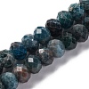 Natural Apatite Beads Strands G-K380-A22-01-1