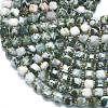 Natural Tree Agate Beads Strands G-K389-A61-01-3