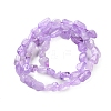 Natural Amethyst(Dyed & Heated) Beads Strands G-P497-01C-44-3