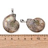Fossil Pendants X-G-D051-1-6
