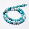 Frosted Natural Agate Beads Strands G-F365-8mm-03-2