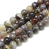 Natural Botswana Agate Beads Strands G-S150-24-8mm-1