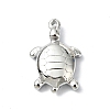 Anti-Tarnish 304 Stainless Steel Pendants STAS-L022-440P-01-1