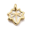 Brass Enamel Charms KK-P338-30G-03-1