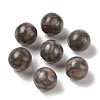 Natural Pink Zebra Jasper No Hole Sphere Beads G-K353-04D-35-1