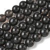 Natural Ice Obsidian Beads Strands X-G-P590-A03-10mm-03-2