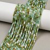 Natural Chrysoprase Beads Strands G-M389-22-1