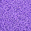 13/0 Glass Seed Beads SEED-T005-14A-A17-3