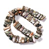 Natural Paua Shell Beads Strands BSHE-B007-01-2