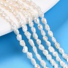 Natural Cultured Freshwater Pearl Beads Strands PEAR-N014-03H-1