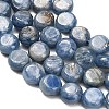 Natural Kyanite Beads Strands G-H335-K01-8mm-4