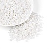 Baking Paint Glass Seed Beads SEED-N007-30L-2