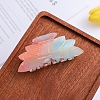 Cellulose Acetate(Resin) Claw Hair Clips PW-WG77B02-05-1