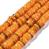 Natural Freshwater Shell Beads Strands SHEL-Q024-001H-1