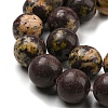 Natural Cherry Blossom Jasper Beads Strands G-C079-A02-05-4