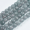 Natural Jade Bead Strands G-R166-10mm-15-1