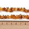 Natural Amber Beads Beads Strands G-Q060-C05-5