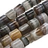 Natural Agate Beads Strands G-F820-P01-01I-2