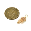 Natural Spiral Shell Pendants PALLOY-JF02793-01-2