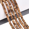 Natural Picture Jasper Beads Strands LS-G-Q606-46A-14-1
