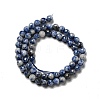 Natural Blue Spot Jasper Beads Strands G-P476-01B-02-3