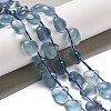 Natural Blue Fluorite Beads Strands G-NH0032-A01-01-2