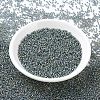 MIYUKI Round Rocailles Beads X-SEED-G007-RR1021-2
