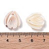 Natural Freshwater Shell Pendants SHEL-D082-04A-3