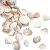 Clam Shell Beads SSHEL-NB0001-11-1