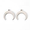 Non-Tarnish 201 Stainless Steel Charms STAS-Q239-011-1